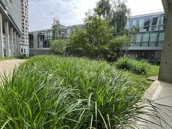 Bureaux à louer à Nantes quartier Euronantes proche gare SNCF