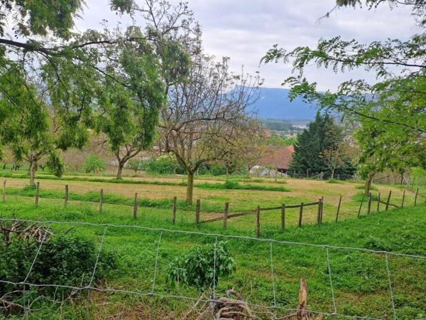 À Vendre Terrain Constructible 2493 m²  TULLINS   ( 38210 )