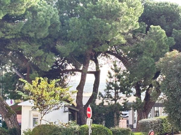 Vaux sur mer T2 terrasse et jardin Vaux sur mer Vaux sur mer T2 terrasse et jardin Vaux sur mer