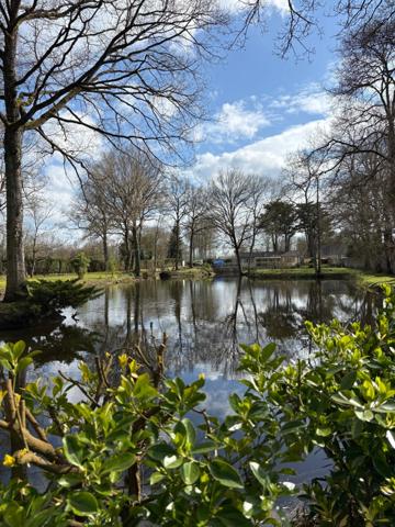 Maison de plain-pied dans un écrin de nature à Cesson-Sévigné