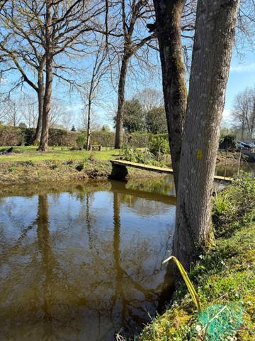 Maison de plain-pied dans un écrin de nature à Cesson-Sévigné