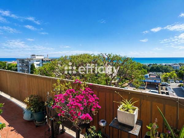 Appartement 2 pièces - 53 m² Exclusivité