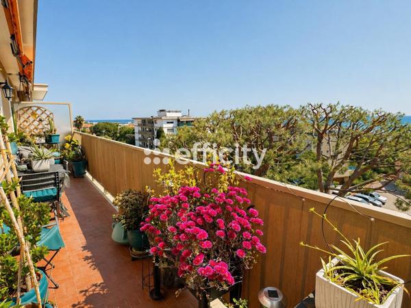 Appartement 2 pièces - 53 m² Exclusivité