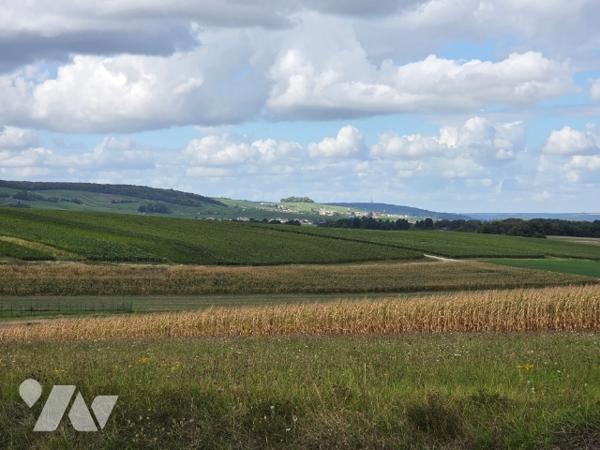 SERMIERS - TERRAIN A BATIR 1.452 M2