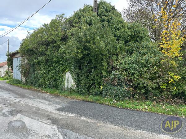 Vente maison Echebrune : 33 500 € - AJP Immobilier Pons