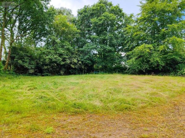 Maison à vendre à Berrien dans le Finistère (29690), ref : 29107-2767