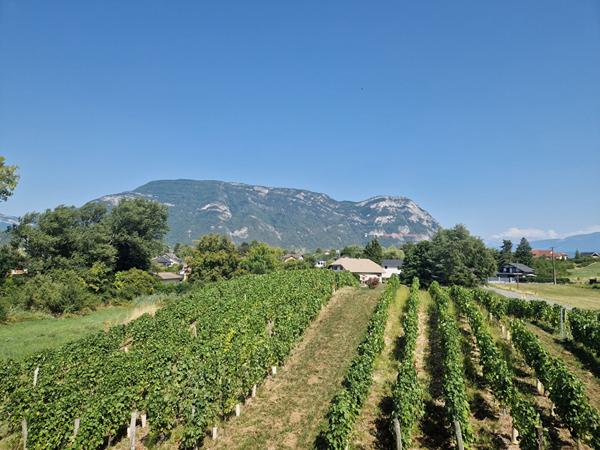 Ancien chai à Myans