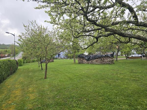 🏡 Terrain constructible à vendre – Walbourg (67360)