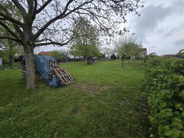 🏡 Terrain constructible à vendre – Walbourg (67360)