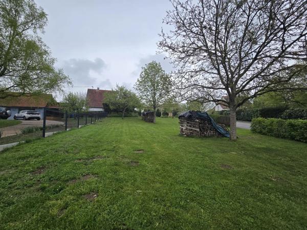 🏡 Terrain constructible à vendre – Walbourg (67360)