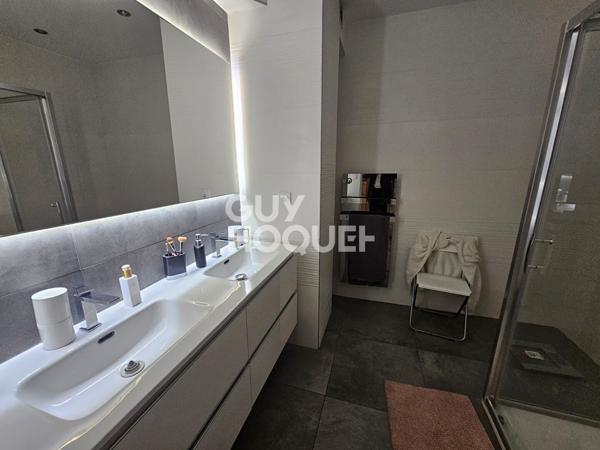 Appartement  rez-de-jardin Villeurbanne 7 pièces 161.30 m2