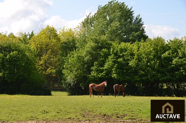 Manoir de caractère à Alençon sur 3.5 hectares, fenêtres à meneaux, maison d'amis, 6 chambres , Alencon