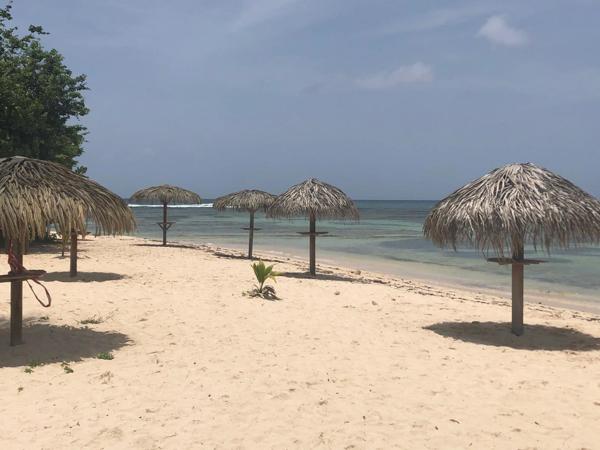 Un appartement à Anse des Rochers SAINT FRANCOIS (971)
