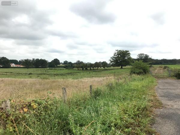 Terrain à Batir à vendre à Paray-le-Monial en Saône-et-Loire (71600), ref : T-P-GRI