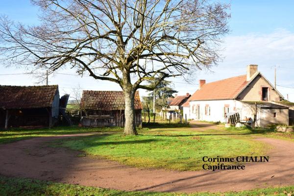 Longère à vendre 4 pièces 75m2 sur 1500m2 de terrain LIERNOLLES (03)