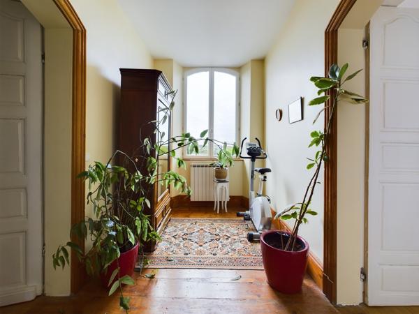 Puymirol (47270) Proche Agen, Grande Maison au village avec 4 chambres, 2 Jardins et vue sur campagne