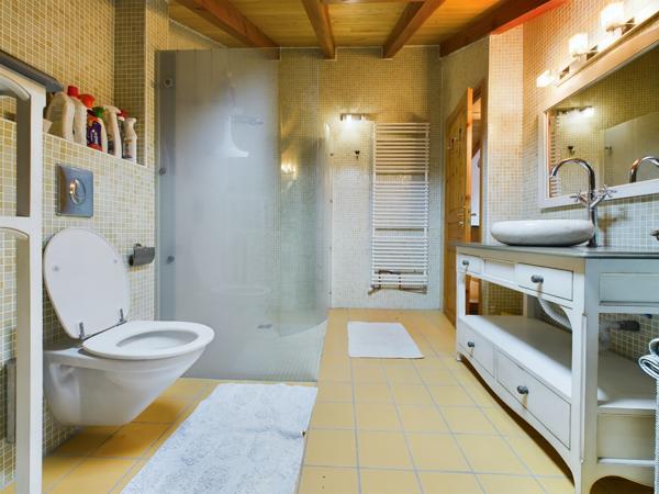 Puymirol (47270) Proche Agen, Grande Maison au village avec 4 chambres, 2 Jardins et vue sur campagne