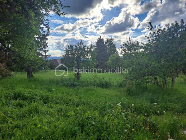 Situé à La Mouille – Hauts de Bienne (39400), à seulement 15 km de la frontière suisse, ancien relais douanier en pierres offrant un fort potentiel de rénovation et d’aménagement.

Édifiée sur un terrain de 3 796 m², cette bâtisse de caractère développe environ 200 m² au sol répartis sur 3 niveaux, avec de très beaux volumes et une belle hauteur sous plafond.

Une partie habitable d’environ 60 m² est déjà aménagée au 1er étage et comprend :
une cuisine ouverte sur la pièce de vie, une chambre, une salle de bain, un WC.

Le reste du bâtiment offre d’importants espaces à réhabiliter avec plusieurs volumes sur deux niveaux, laissant libre cours à de nombreux projets :
grande maison familiale, création de plusieurs logements, investissement locatif, gîtes ou activité touristique.

Les travaux de rénovation ont déjà été engagés :
une partie des dalles est réalisée, structure et volumes déjà ouverts, nombreuses ouvertures apportant une belle luminosité, grandes fenêtres au rez-de-chaussée.
La toiture est en bon état.
Le bien est raccordé au tout-à-l’égout.
Fenêtres présentes sur tous les niveaux en simple vitrage.
Le matériel nécessaire à la réalisation des dalles restantes est vendu avec le bien.
Une petite dépendance d’environ 30 m² complète la propriété.