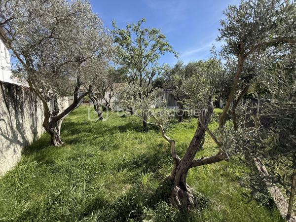 Propriete de 170 m²