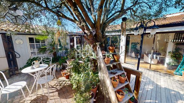 Grande maison familiale + grand chai à rénover - Sauzelle - 1km de la plage