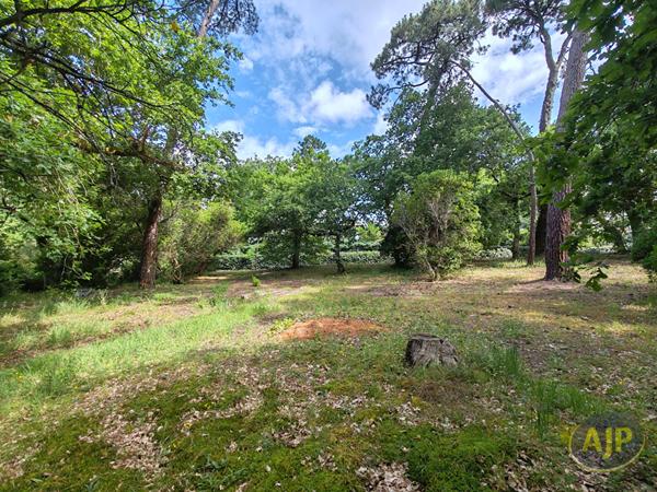 Vente terrain Arcachon : 1 354 600 € - AJP Immobilier Arcachon