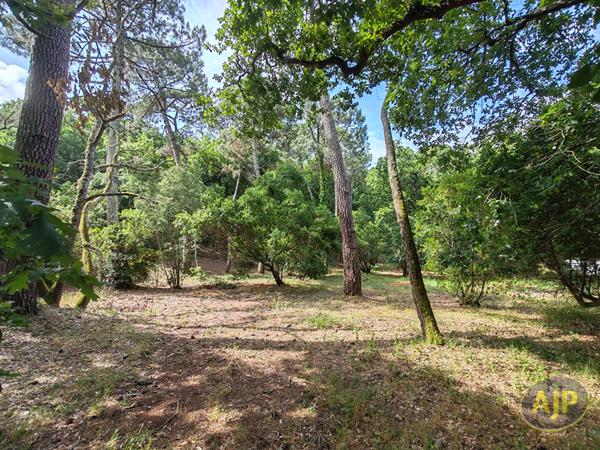 Vente terrain Arcachon : 1 354 600 € - AJP Immobilier Arcachon