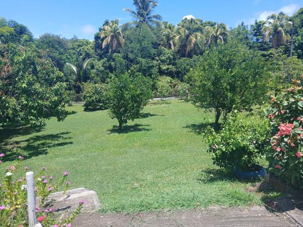 SAINTE-MARIE- Maison T5 avec terrain de 2520 m²