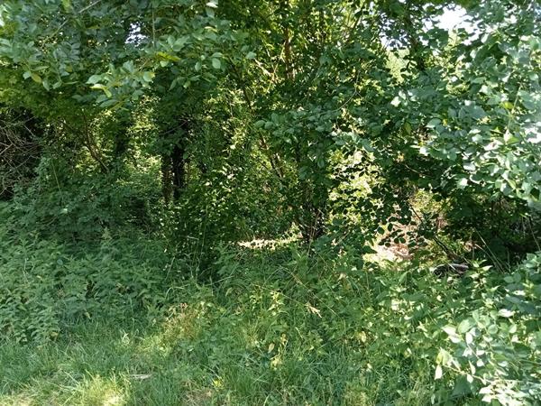 Terrain à vendre non constructible situé à Attichy 60350