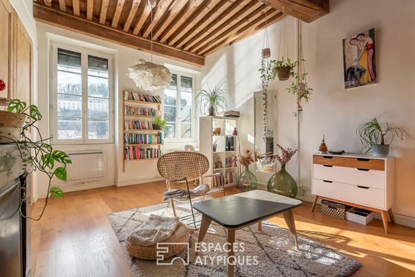 Appartement familial de caractère avec vue Saône et jardin commun