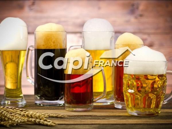 AIX LES BAINS (73) Fonds de commerce BAR BRASSERIE TERRASSE