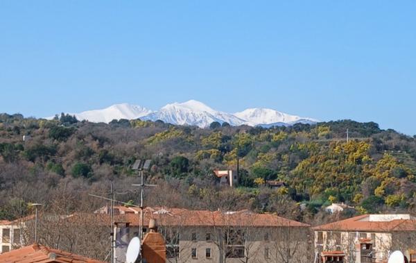 Vente Maison de village Avec terrasse Ceret