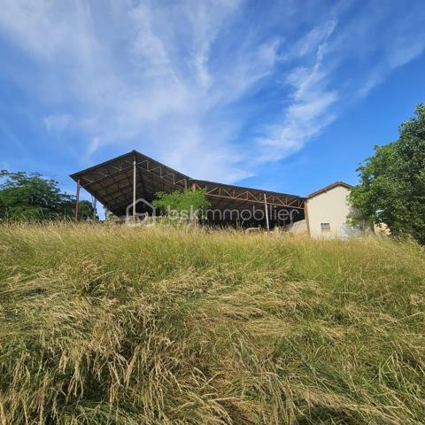 Osez la page blanche en Terre Gasconne !
Le Réseau BSK Gers/Gascogne a encore déniché une pépite destinée aux passionnés d’architecture, en quête d’un horizon sans limites. C'est bien plus qu'un bien à rénover : le point de départ de votre future vie. Niché dans un authentique hameau de La Sauvetat, village perché emblématique de la Lomagne, cet ensemble immobilier offre le cadre idéal pour concevoir un habitat atypique, unique, qui ne ressemblera qu’à vous.
Le Potentiel Architectural : 200 m² à imaginer
Ici, les bases sont saines et robustes, prêtes à accueillir vos idées les plus audacieuses : L'ancienne étable (années 70) possède une structure impeccable en parpaings et hourdis béton, coiffée d'une toiture récente (charpente et couverture neuves). Avec ses 100 m² au sol sur deux niveaux, elle offre le volume parfait pour une réhabilitation totale en loft XXL ou pour la création de deux logements distincts. (Changement de destination en habitation possible).

Le hangar agricole attenant de 300 m² : Sa structure métallique offre le choix des armes. Les amateurs de design industriel le conserveront pour créer un atelier, un garage ou une terrasse couverte monumentale. Les adeptes d'épuration choisiront de le démonter pour libérer encore plus d'espace.
Posé sur une prairie d'environ 1 000 m², le bâtiment vous garantit  une totale intimité (aucun vis-à-vis) avec une vue incroyable à 360° sur les vallons gersois à perte de vue, avec en points de mire un moulin traditionnel, un château du XIIIe siècle et la silhouette de Lectoure. Par temps clair, la chaîne des Pyrénées se détache à l'horizon.
L'exposition : Une triple orientation Sud, Est et Nord pour capter la lumière du matin au soir.

Situé à La Sauvetat (village chargé d'histoire) à seulement 10 km de Fleurance et 10 km de Lectoure : le parfait compromis entre la quiétude de la campagne et le dynamisme des marchés, festivals et commodités locaux.
Côté technique & Viabilité
Réseaux : Électricité et tout-à-l'égout à seulement quelques mètres pour un raccordement aisé.

Connectivité : La Fibre est disponible à l'entrée du hameau (idéal pour le télétravail).

À prévoir : Un budget travaux conséquent pour donner vie à ce projet d'une vie.

L'avis de votre conseiller BSK : Ce vestige de la vie rurale n'attend qu'un second souffle. Si vous avez l'âme d'un bâtisseur et l'amour de la Gascogne, ce lieu va vous transporter.

Contactez-nous pour planifier votre visite et ouvrir le premier chapitre de votre projet.