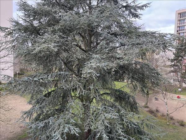 Appartement à vendre |  Saint-Ouen-l'Aumône |  5 pièces | 92 m²