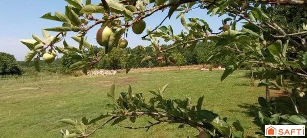 3 Gîtes rénovés - 384m2 - Activité touristique prête à reprendre
