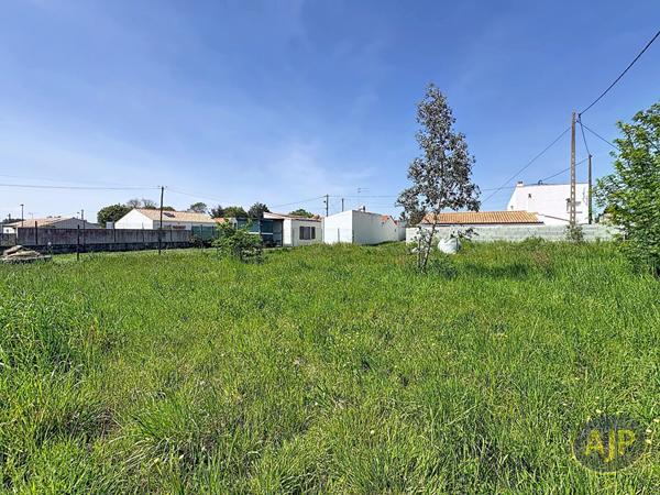 Vente terrain Challans : 75 000 € - AJP Immobilier Challans