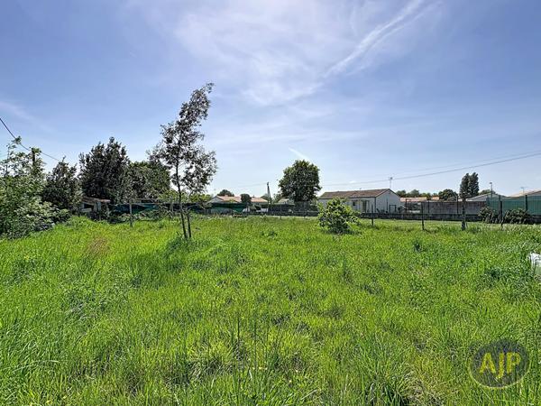 Vente terrain Challans : 75 000 € - AJP Immobilier Challans