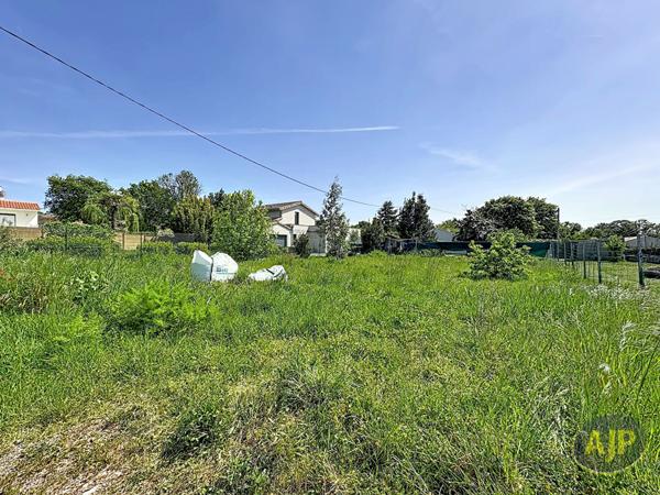 Vente terrain Challans : 75 000 € - AJP Immobilier Challans
