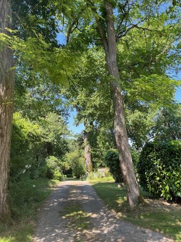AUX PORTES DE NERAC DANS UN CADRE ENCHANTEUR
