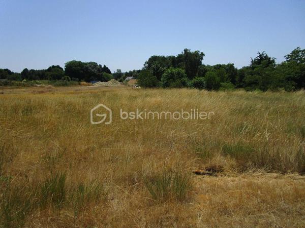 Découvrez ce magnifique terrain constructible d'environ 4 068 m², offrant une généreuse façade de 50 mètres, idéale pour concrétiser votre projet de construction dans un cadre agréable et préservé.

Ses dimensions avantageuses permettent de nombreuses possibilités d'aménagement et garantissent un bel espace de vie extérieur. Les réseaux eau, électricité et téléphone sont disponibles en limite de propriété sur le domaine public, facilitant ainsi les démarches de viabilisation.

Assainissement individuel à prévoir.

💰 Prix : 41 000 € honoraires inclus
(soit 38 000 € hors honoraires)

Caractéristiques :

Terrain constructible d'environ 4 068 m²
Façade de 50 mètres
Réseaux en bordure de terrain (eau, électricité, téléphone)
Environnement propice à la réalisation d'un projet familial ou résidentiel
Belle capacité d'implantation pour votre future maison

Une opportunité rare pour les acquéreurs en quête d'espace, de tranquillité et de liberté dans la conception de leur futur habitat.

Surface : 4 068 m²
Consommation énergie primaire : Non concernée
Consommation énergie finale : Non concernée (terrain non bâti)