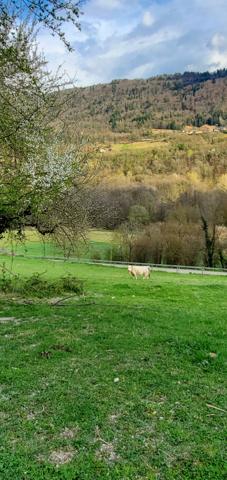 Coise-Saint-Jean-Pied-Gauthier (73800) TERRAIN ENTIEREMENT VIABILISE AVEC ASSAINISSEMENT COLLECTIF - 761m²