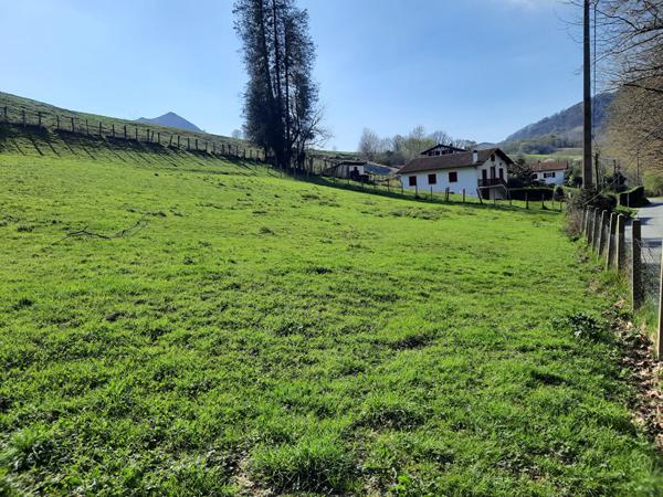 Terrain Sare 604 m2