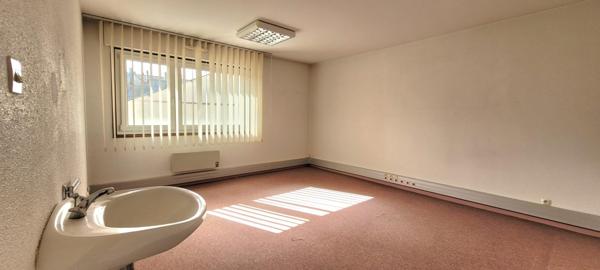 À vendre Appartement 7 pièces 218.34 m² - Saint-dié-des-vosges 88100