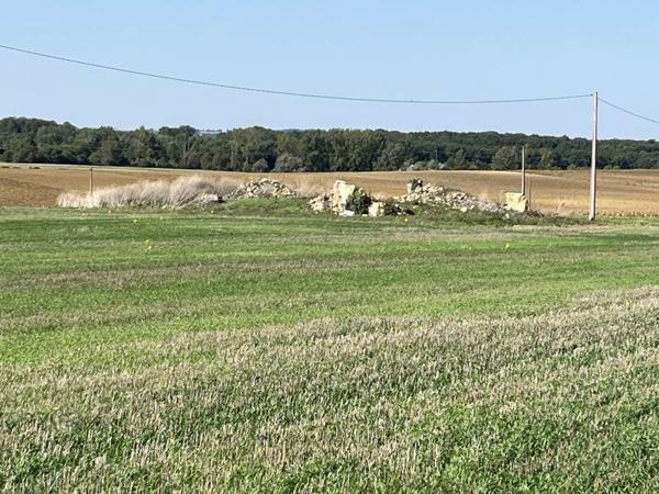 Terrain 35 000 € Faudoas 3200 m² DPE