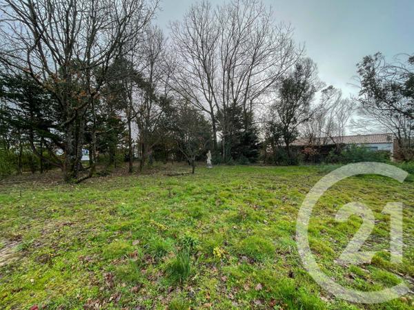 Terrain à vendre  1424 m2 CHATEAU D OLONNE - 85