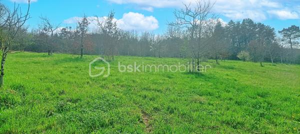 Terrain de 2 971 m²