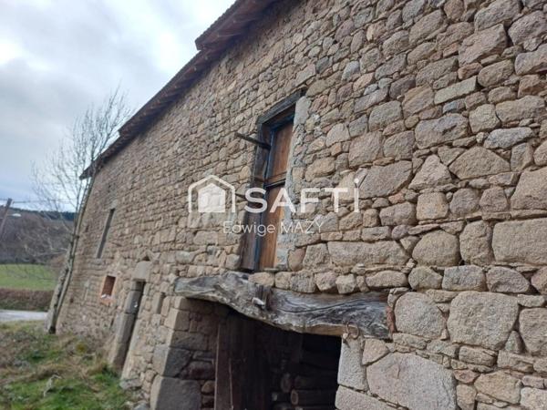 Environnement  calme  et paisible