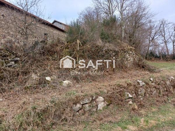 Environnement  calme  et paisible