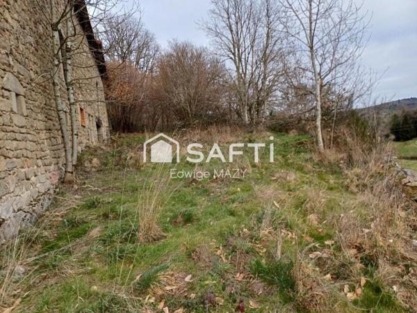 Environnement  calme  et paisible