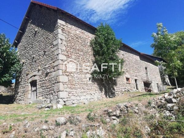 Environnement  calme  et paisible