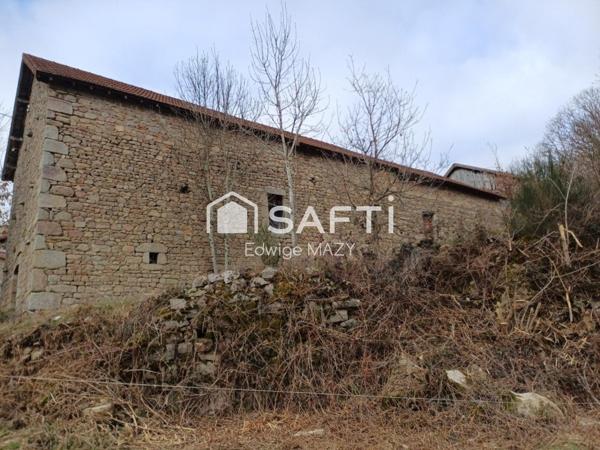 Environnement  calme  et paisible